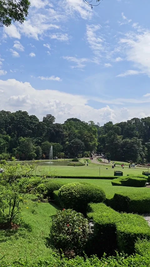 Views of nature landscape Stock Footage 286917001