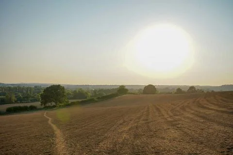 Views over farm fields in the spring on a sunny day 写真素材