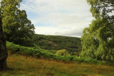 Views over Glen Affric from Eagle Brae Stock Photos
