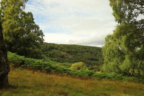 Views over Glen Affric from Eagle Brae Foto stock