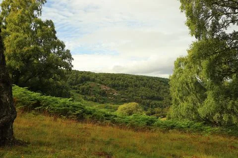 Views over Glen Affric from Eagle Brae Stock Photos