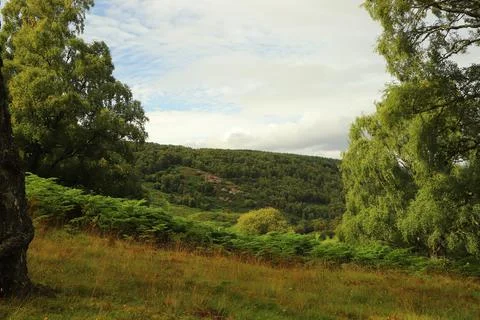 Views over Glen Affric from Eagle Brae Stock Photos