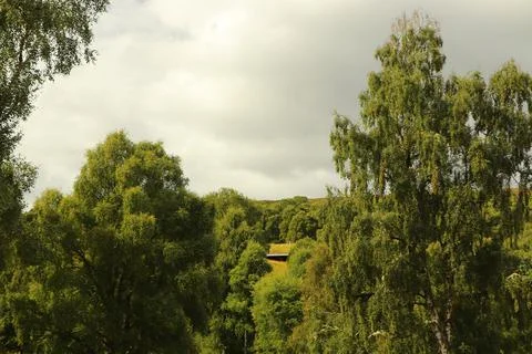 Views over Glen Affric from Eagle Brae Stock Photos