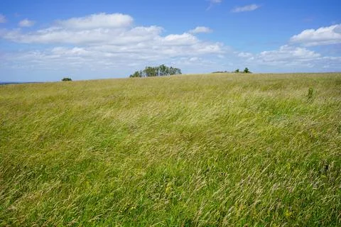 Views over green fields and blue sky with clouds Photos