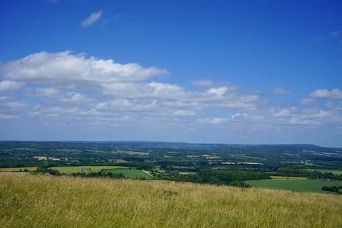 Views over green fields and blue sky with clouds 库存照片