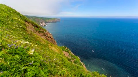 Views of the Pacific ocean Stock Photos