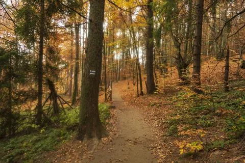 Views on the path to Tarnica - the highest mountain in Bieszczady Stock Photos