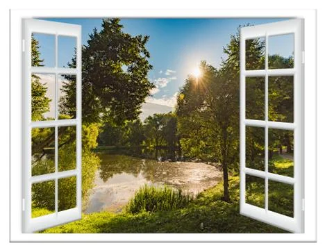 Views of the pond Stockfoto's