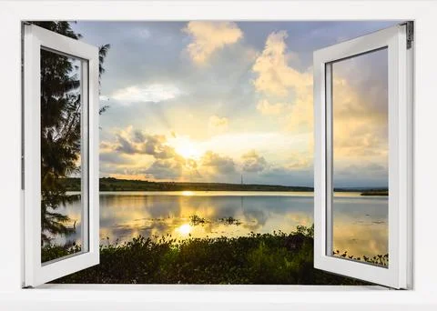 Views of the pond Photos