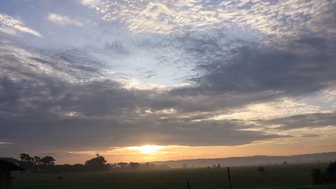 Views of rice fields and the sun in the morning with cool weather Stock-Footage 231878848