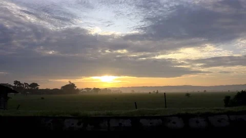 Views of rice fields and the sun in the morning with cool weather Stock-Footage 231878878