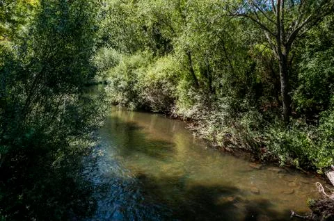 Views of the River Bernesga Foto stock