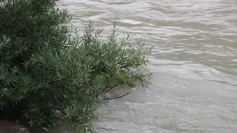 Views of the river Chuya. Altai. Stock Footage 95036577