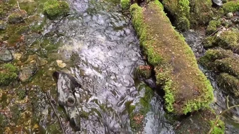 Views of the river Stock Footage 234578083