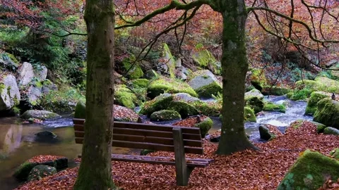 Views of the river Stock Footage 234729160