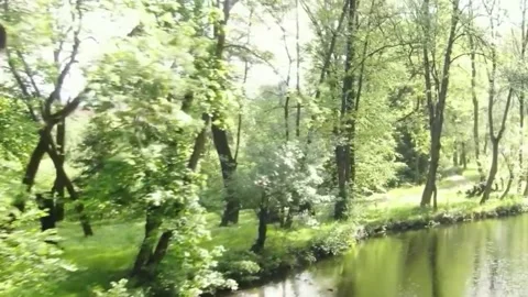 Views of the river Stock Footage 234730584