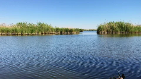 Views of the river reeds Stock Footage 94709415