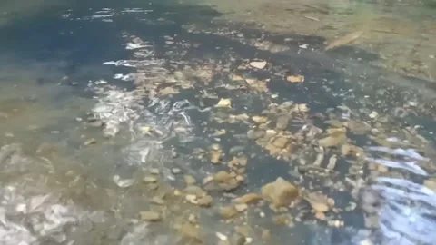 Views of river water Stock Footage 238924046