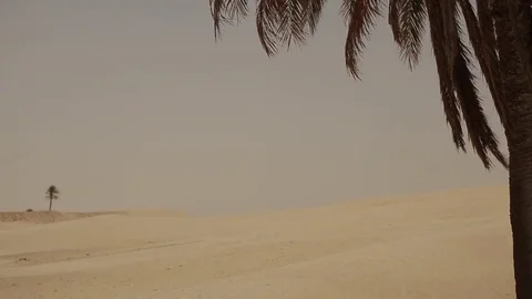 Views of the Sahara Desert Stock Footage 71785354