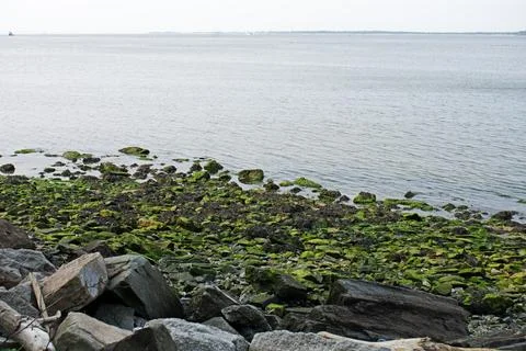 Views of Sandy Hook Bay -03 Stock Photos