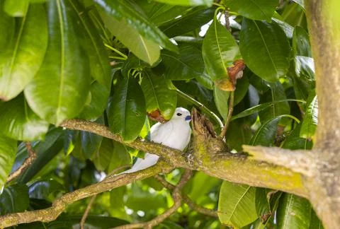 Views from the Seychelles Stock Photos