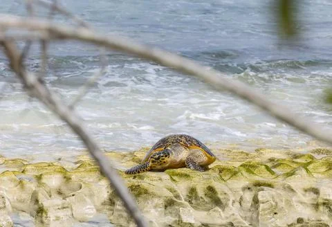 Views from the Seychelles Foto stock
