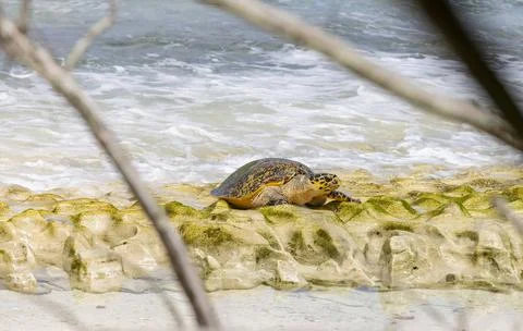 Views from the Seychelles Stock Photos