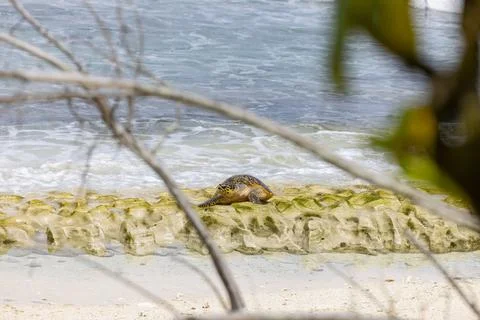 Views from the Seychelles Stock Photos