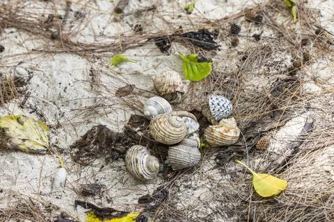 Views from the Seychelles Stock Photos