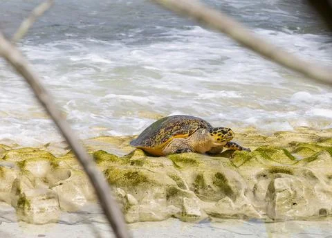 Views from the Seychelles 스톡 사진