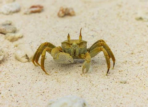 Views from the Seychelles Foto stock