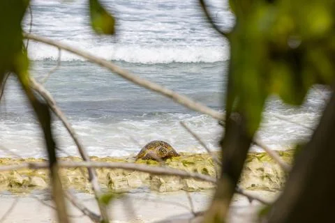 Views from the Seychelles Stock Photos