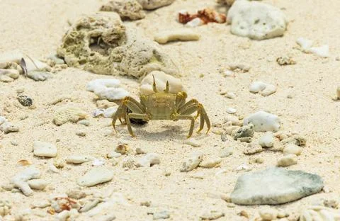 Views from the Seychelles Fotos Stock