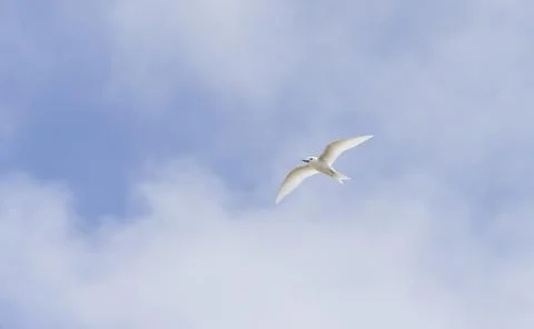 Views from the Seychelles 스톡 사진