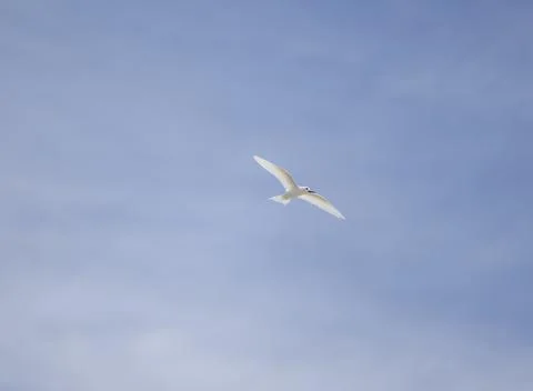 Views from the Seychelles 스톡 사진