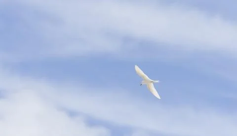 Views from the Seychelles Stock Photos