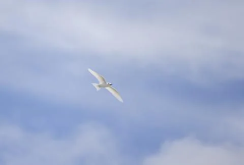 Views from the Seychelles Stock Photos