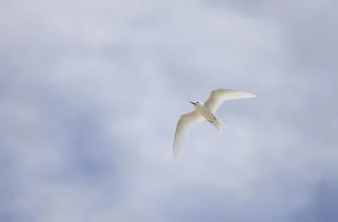 Views from the Seychelles 스톡 사진