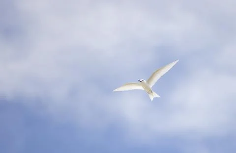 Views from the Seychelles Stock Photos
