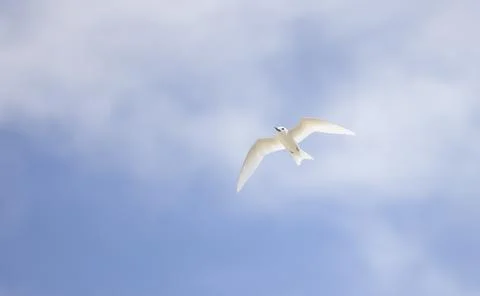 Views from the Seychelles 스톡 사진