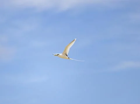 Views from the Seychelles Stock Photos