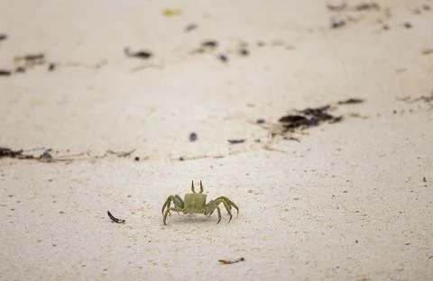Views from the Seychelles Stock Photos