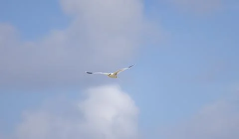Views from the Seychelles Stock Photos