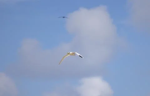 Views from the Seychelles Stock Photos