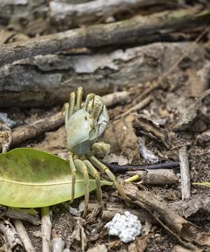 Views from the Seychelles Stock Photos