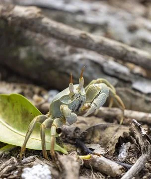 Views from the Seychelles Stock Photos