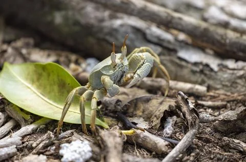 Views from the Seychelles Stock Photos