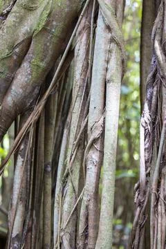 Views from the Seychelles Stock Photos