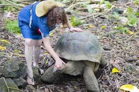 Views from the Seychelles Fotos Stock