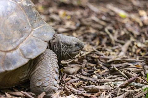 Views from the Seychelles Foto stock